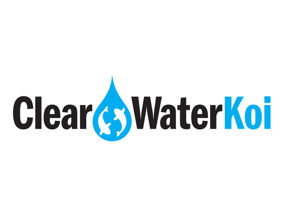 Clear Water Koi