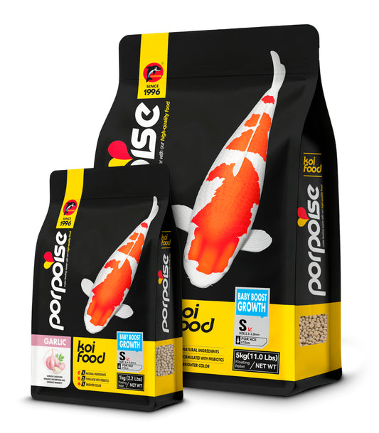 Porpoise Baby Boost Growth Koi Food (S)